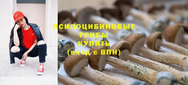 ECSTASY Алексеевка