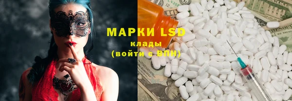сатива Аркадак