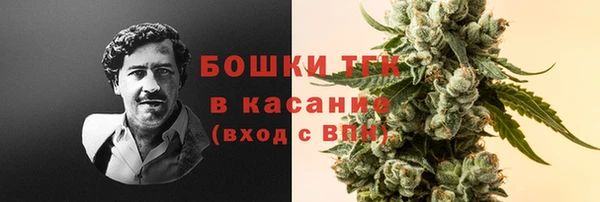 spice Арсеньев