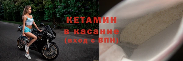 сатива Аркадак