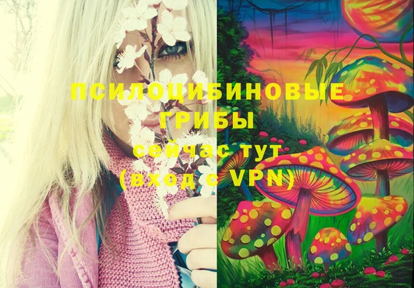 ECSTASY Алексеевка