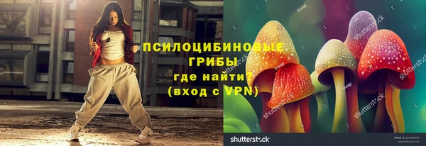 а пвп мука Алзамай